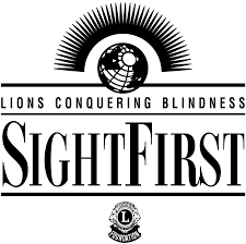 Lions - Sight First